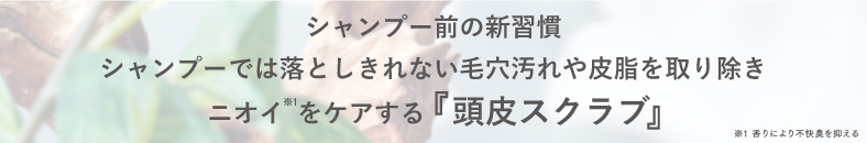 シャンプーでは落としきれない毛穴汚れや皮脂を取り除き、ニオイをケアする頭皮スクラブ