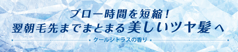 ブロー時間を短縮！翌朝毛先までまとまる美しいツヤ髪へ（クールシトラスの香り）